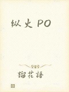 纵火 PO