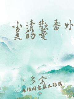 小清欢番外篇完美的爱