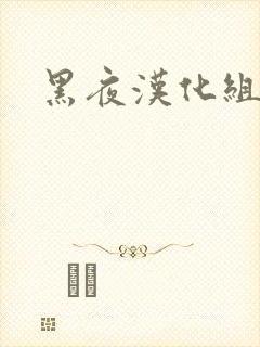黑夜汉化组