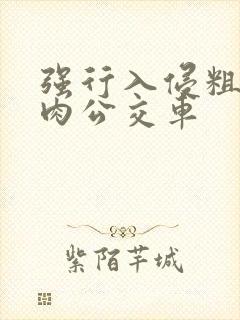 强行入侵粗暴h肉公交车