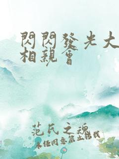 闪闪发光大团圆相亲会