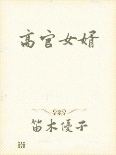 高官女婿