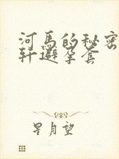 河马的秘密河文轩避孕套