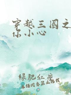 穿越三国之孔明你小心