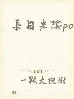 长日光阴po