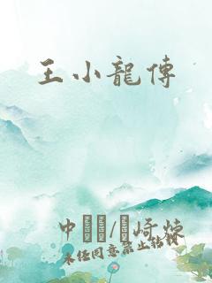 王小龙传
