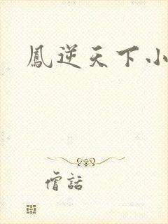 凤逆天下小说