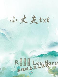小丈夫txt