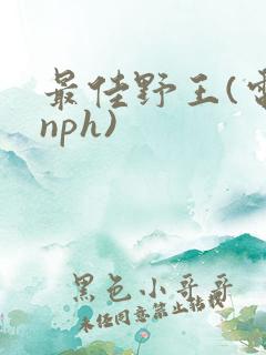 最佳野王(电竞nph)