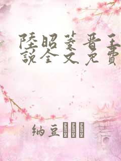 陆昭菱晋王的小说全文免费阅读