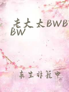 老大太BWBWBW