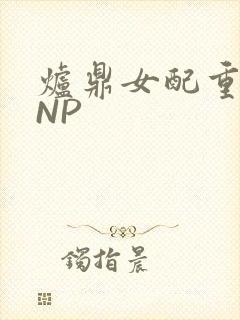 炉鼎女配重生之NP