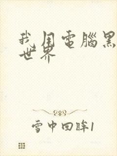 我用电脑黑了全世界