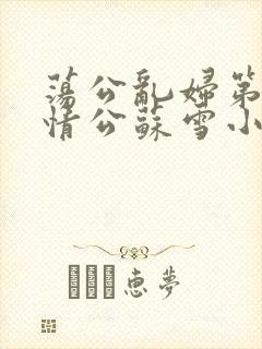 荡公乱妇第1章情公苏雪小说