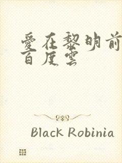 爱在黎明前降落百度云