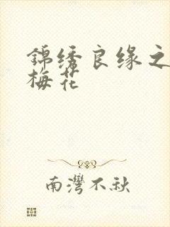 锦绣良缘之驿寄梅花