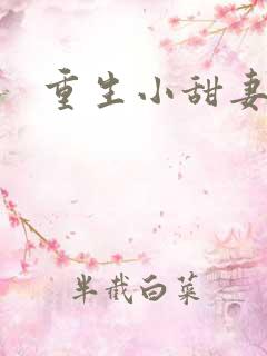 重生小甜妻