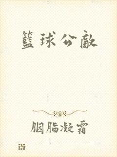 篮球公敌