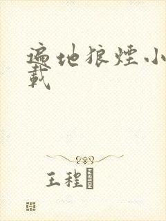 遍地狼烟小说下载