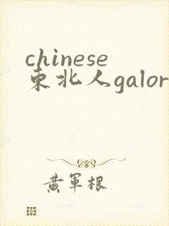 chinese东北人galore