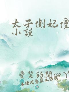 太子侧妃傻乎乎小说