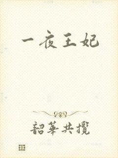 一夜王妃