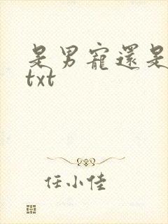 是男宠还是禁脔txt