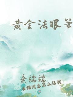 黄金法眼笔趣阁