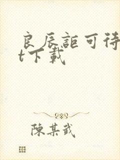 良辰讵可待txt下载