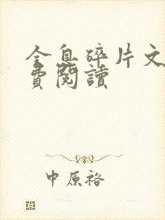 全息碎片文轩免费阅读