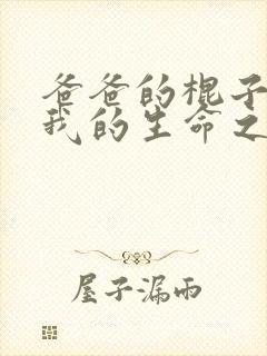 爸爸的棍子顶着我的生命之门