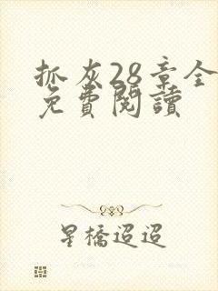 抓灰28章全部免费阅读