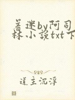 着迷by阿司匹林小说txt下载