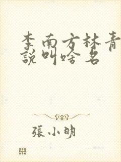 李南方林青青小说叫啥名