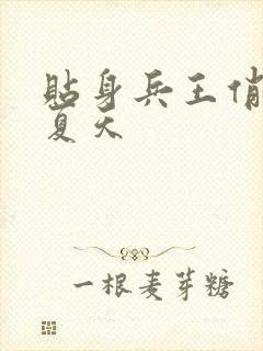 贴身兵王俏总裁夏天