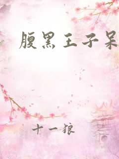 腹黑王子呆呆女