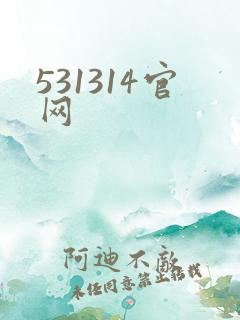 531314官网