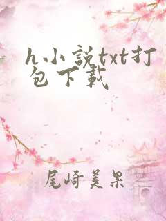 h小说txt打包下载
