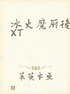 冰火魔厨后记TXT