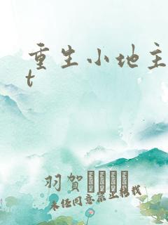 重生小地主txt