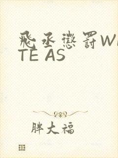 飞丞惩罚WRITE AS