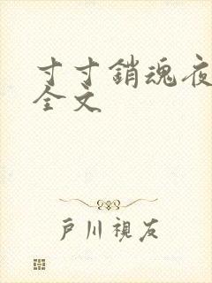 寸寸销魂夜春光全文