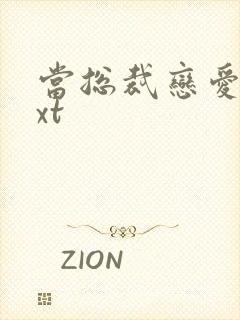 当总裁恋爱时txt