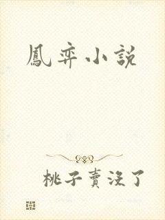 凤弈小说