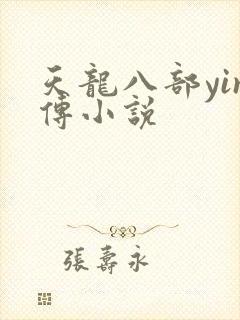 天龙八部yin传小说