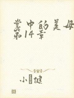 掌中的美母版主第14章