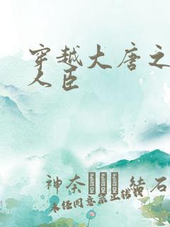 穿越大唐之位极人臣