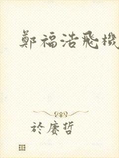 郑福浩飞机坠海