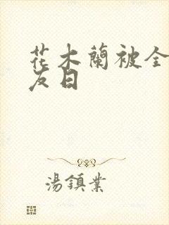 花木兰被全队队友日