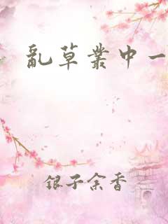 乱草丛中一杆枪